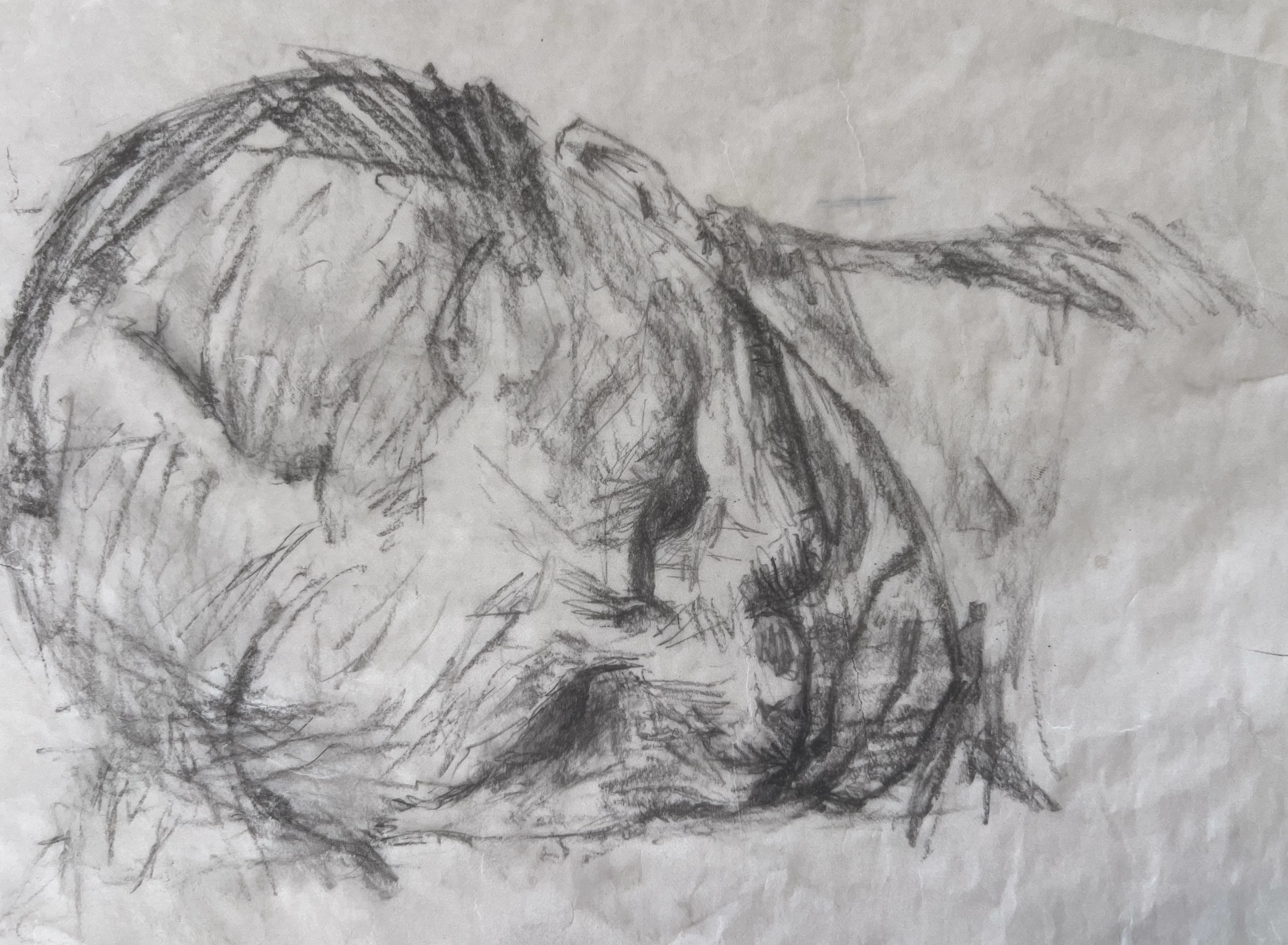 large tilted head in rough charcoal on thin crumpled paper, deep shadowed eye sockets, mouth set